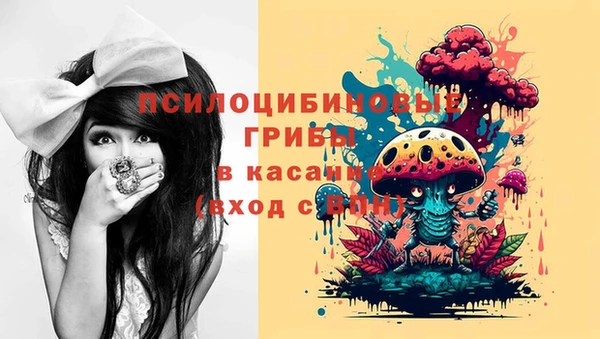 хмурый Протвино