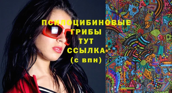 дмт Алзамай