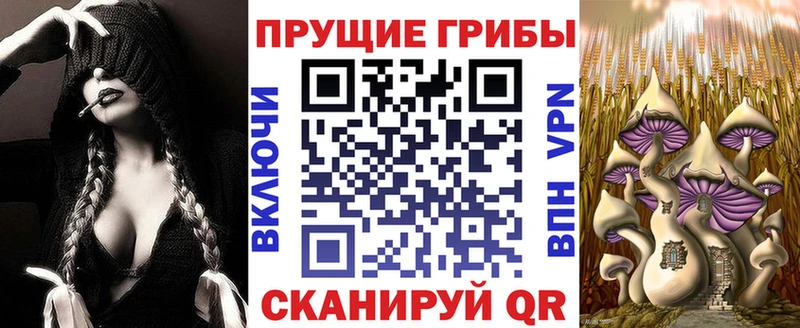 Псилоцибиновые грибы Psilocybine cubensis Калининск